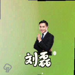 刘磊
